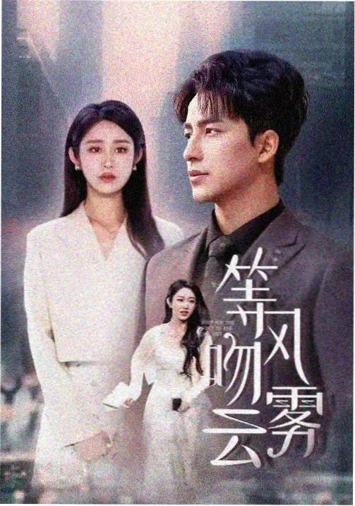 体面第一季海报
